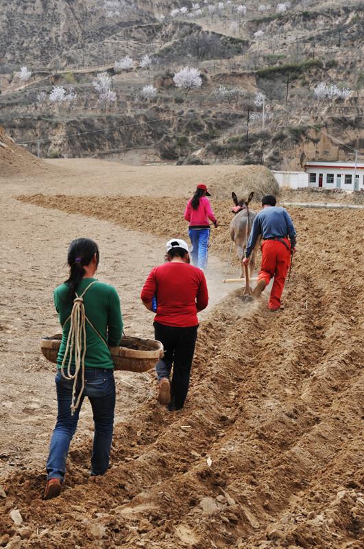 真实的陕北窑洞生活，富裕人家与穷苦人家差距大！
