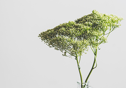 2025年上学期期中考试方案